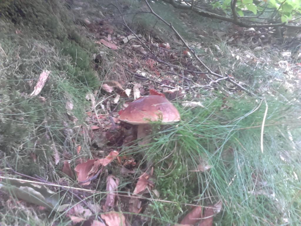 Apartamentypomorze Białogóra Exteriör bild